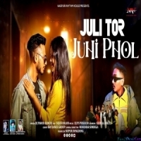 Juli Tor Juhi Phool -  DJ pawan